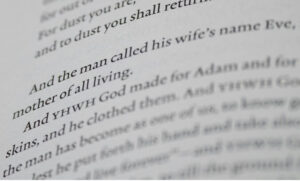 Text from Genesis